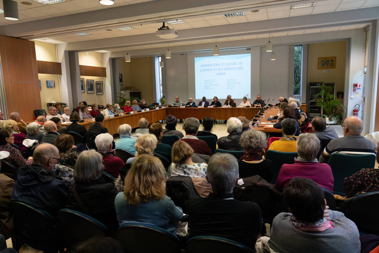 Text Alt Réunion conseil des aînés